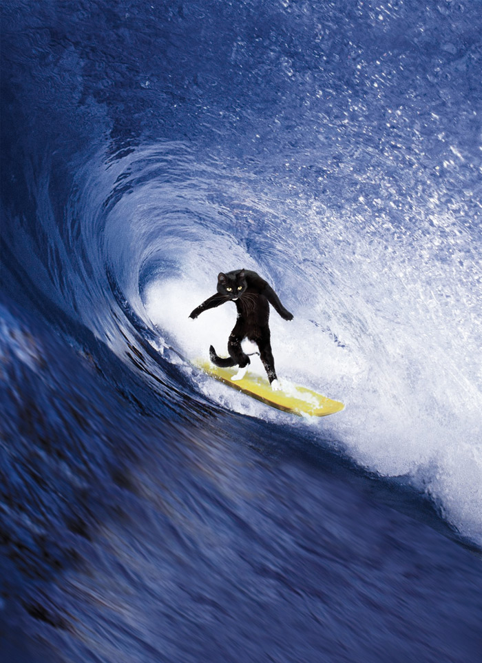 share_surfing-A5_thumbnail